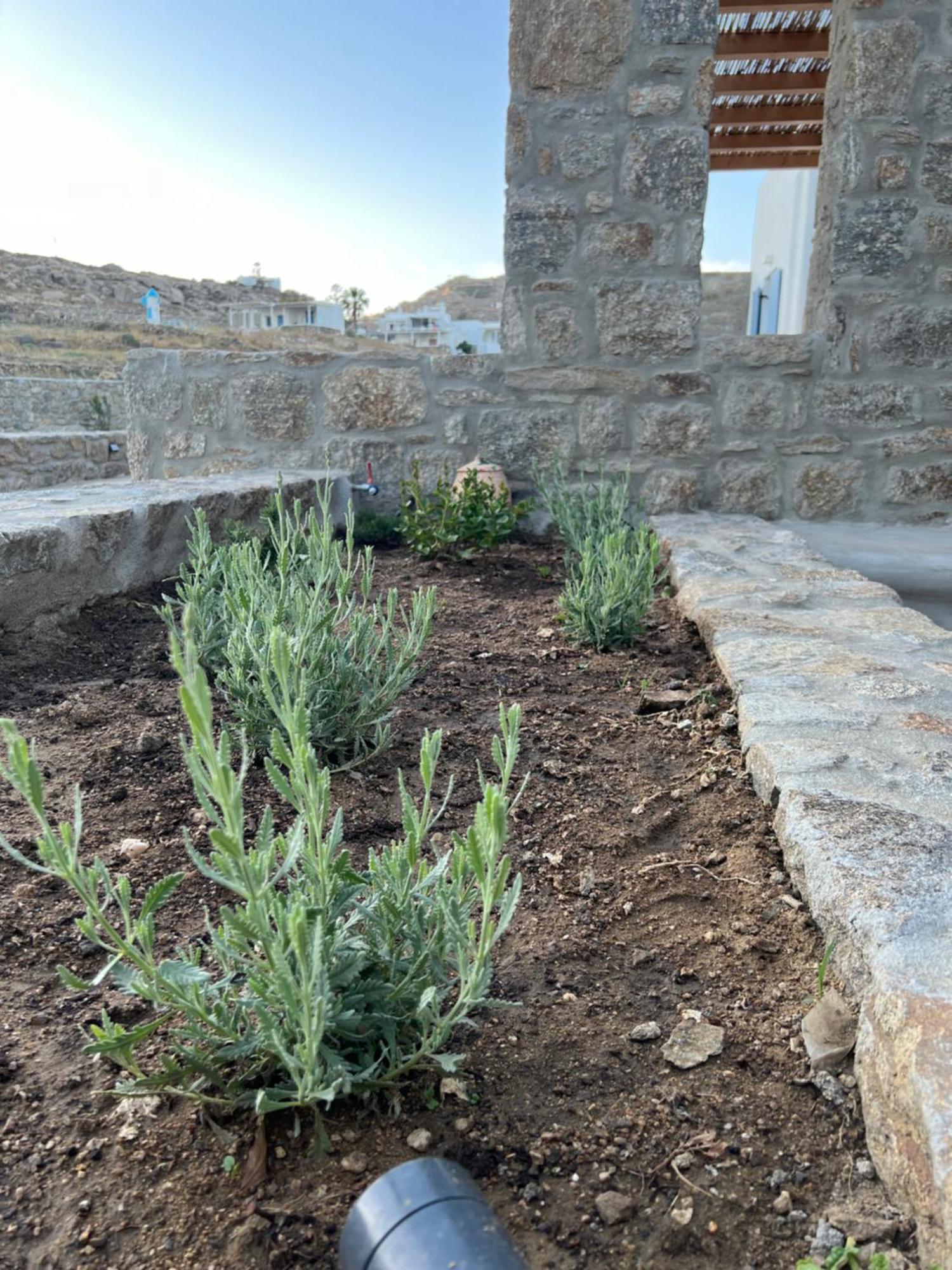 Miamis Villas Mykonos II Mykonos Town エクステリア 写真
